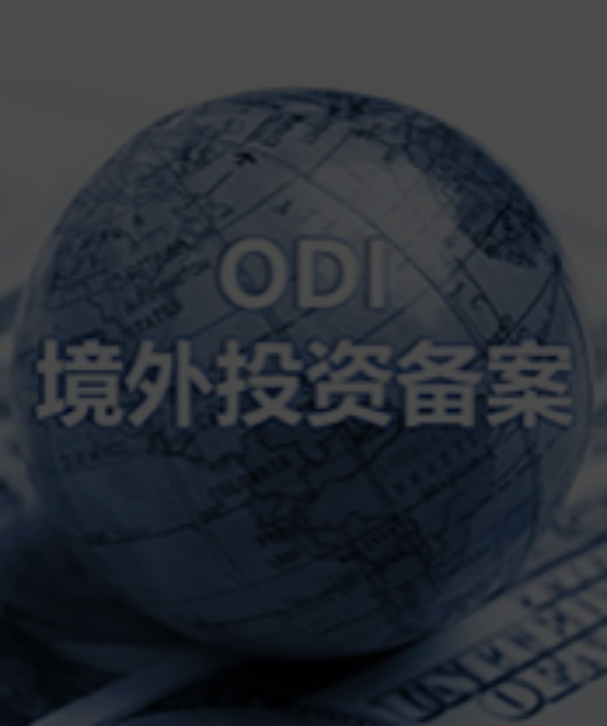 中国国内企业<br>境外投资备案