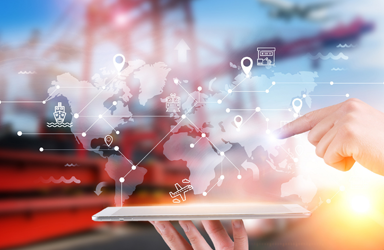 全球市场准入与灵活性